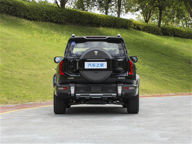 DEEPAL G318 Rear